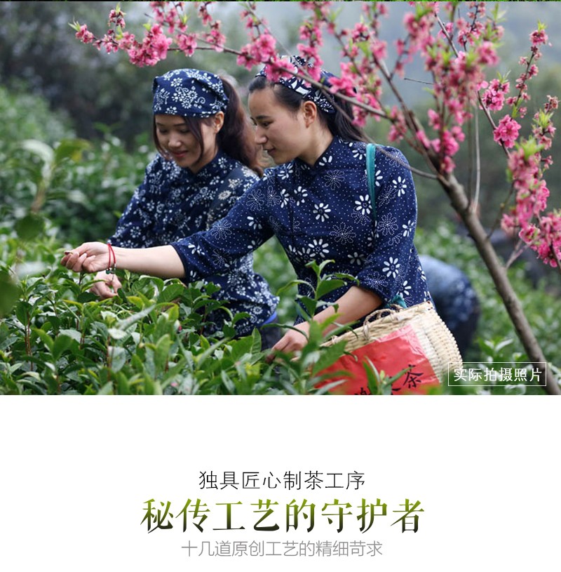 覆膜鐵白罐小罐茶應(yīng)用之謝裕大