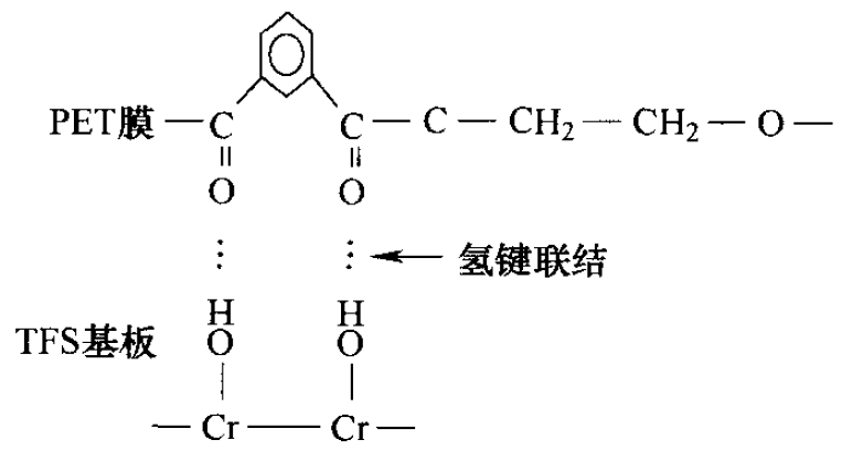 TFS基極與PET膜結(jié)合示意圖